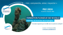Formation Plongeur Bio Niveau 2 - 2024