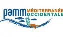 Actes de la Journée Echanges Stratégie Plongée Méditerranée 2022