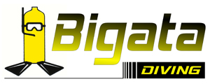 Bigata