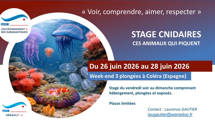 Stage Cnidaires 2026