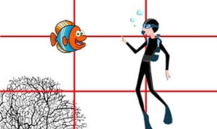 "La composition de l'image et techniques de prises de vue"