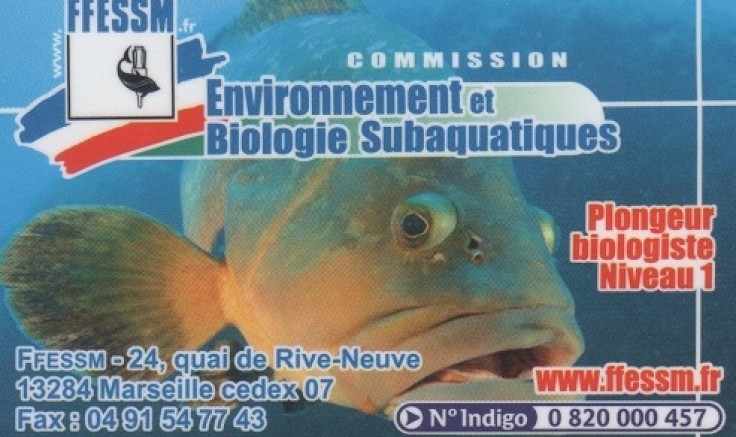 STAGE DE FORMATION Plongeur Biologiste Niveau 1 (PB1) en Handisub®