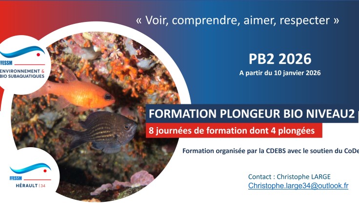 Hérault- Formation Plongeur Bio Niveau 2 - 2026