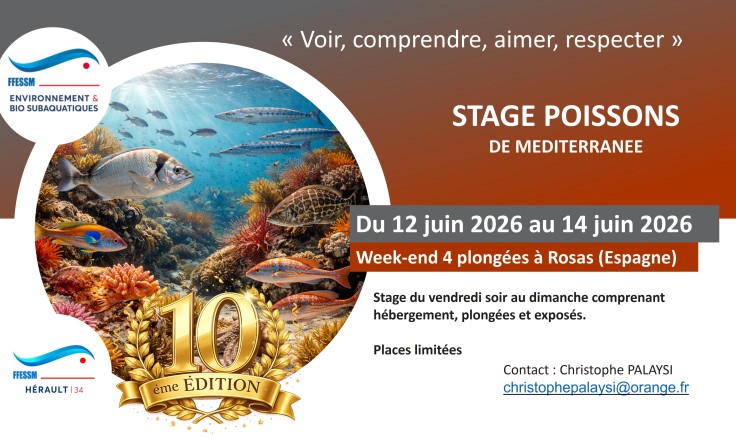 Stage Poissons de Méditerranée 2026