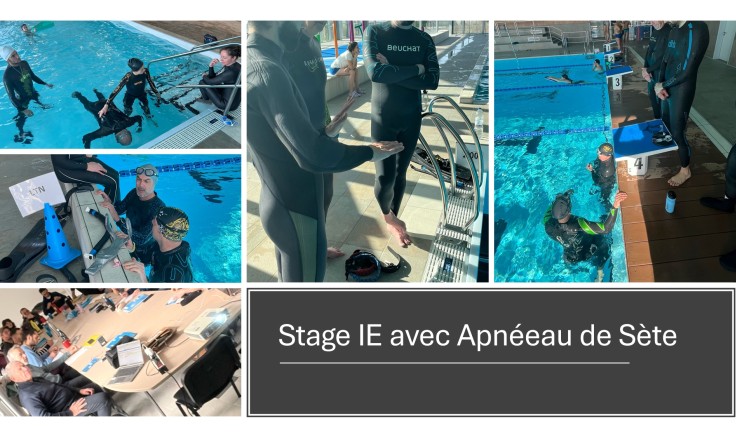 Stage initial IE Apnée – Un beau lancement