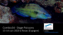 La Combio34 propose un stage "Poissons de Méditerranée" les 13-14 Juin 2020 !