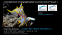 Inscriptions au stage bio/photos "Limaces de l'Hérault et d'ailleurs !" les 16-17 Mai 2020 !