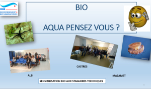 sensibilisation bio