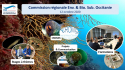 Nouveau bureau CREBS Occitanie PM - Missions &amp; projets 2020-2021