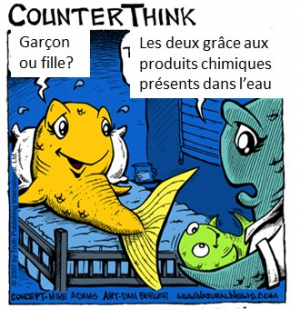 Conf CDEBS31 : Perturbateurs Endocriniens