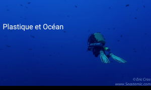 Replay et liens de la visioconférence Plastique et Océan (3 mars 2021)