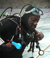 Cepisul Michel