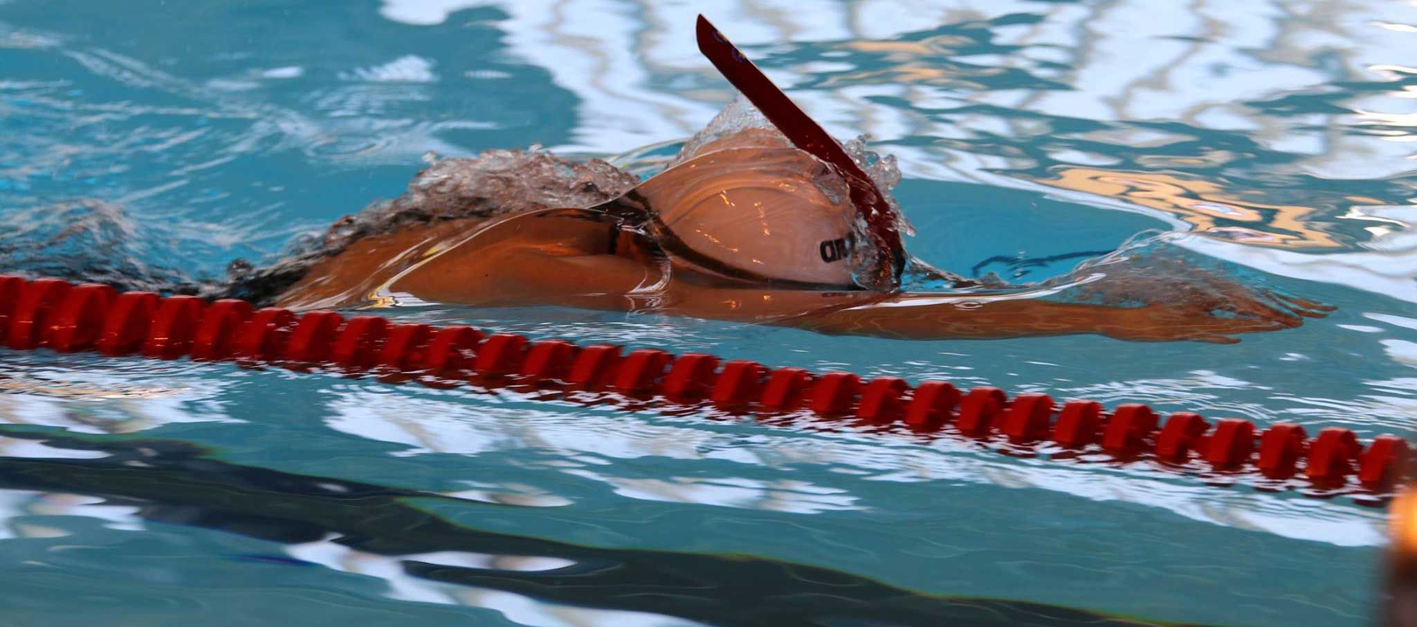 14th World Championship Finswimming